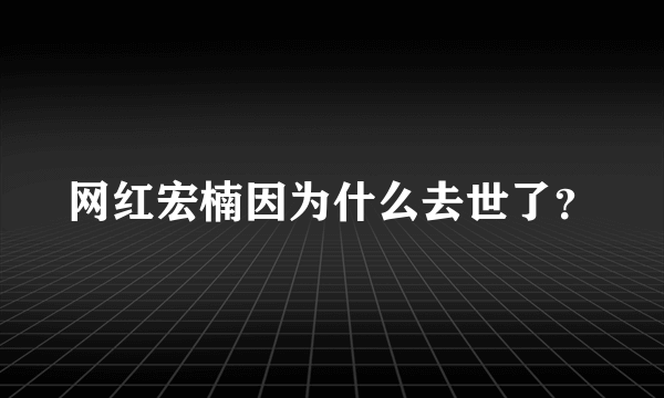 网红宏楠因为什么去世了？