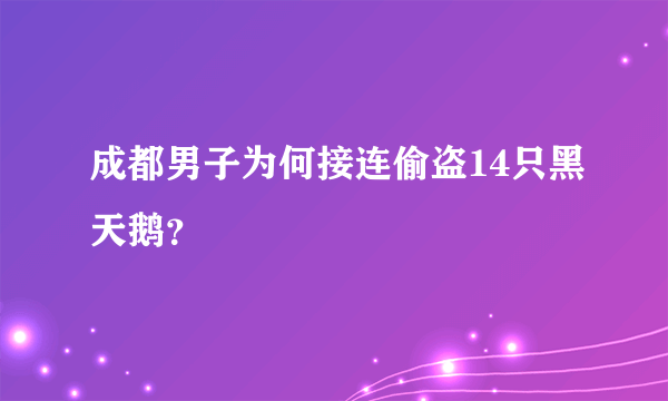 成都男子为何接连偷盗14只黑天鹅？