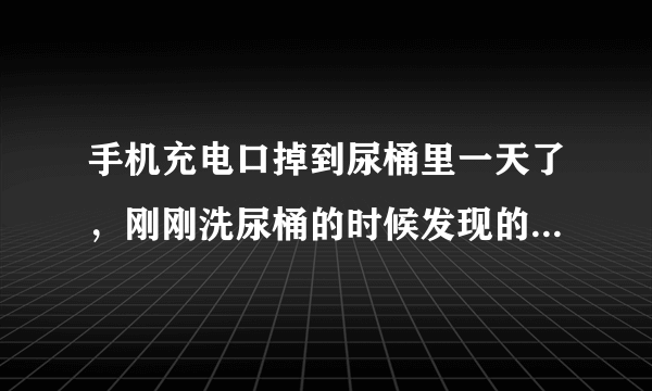 手机充电口掉到尿桶里一天了，刚刚洗尿桶的时候发现的，现在该怎么办？