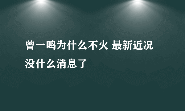 曾一鸣为什么不火 最新近况没什么消息了