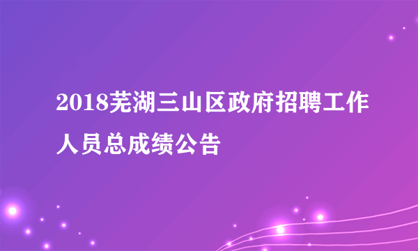 2018芜湖三山区政府招聘工作人员总成绩公告