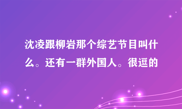 沈凌跟柳岩那个综艺节目叫什么。还有一群外国人。很逗的