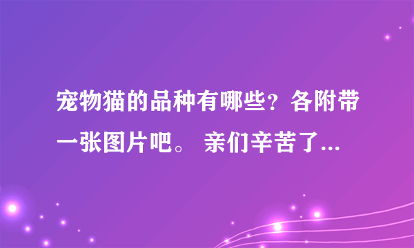 宠物猫的品种有哪些？各附带一张图片吧。 亲们辛苦了，先谢啦！