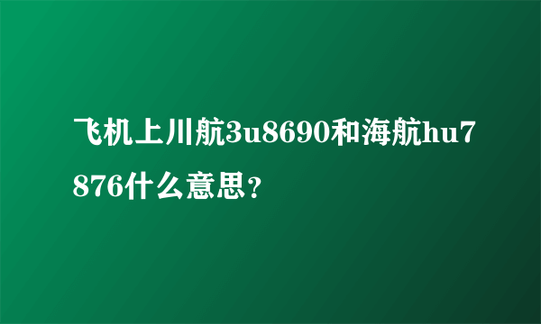 飞机上川航3u8690和海航hu7876什么意思？