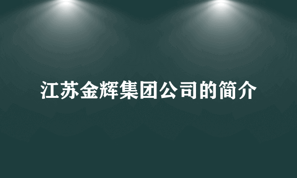 江苏金辉集团公司的简介