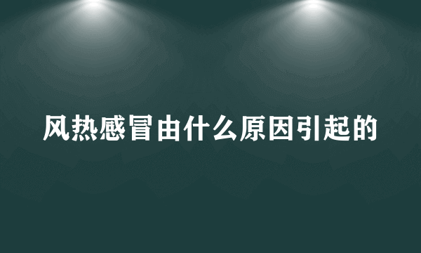 风热感冒由什么原因引起的