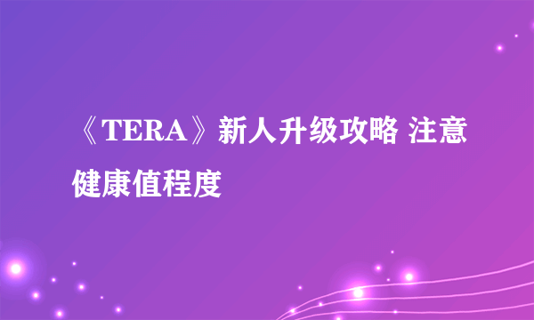 《TERA》新人升级攻略 注意健康值程度