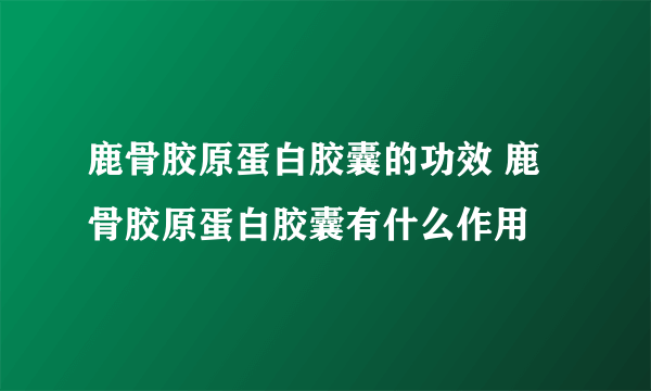 鹿骨胶原蛋白胶囊的功效 鹿骨胶原蛋白胶囊有什么作用