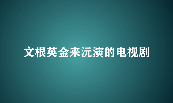 文根英金来沅演的电视剧