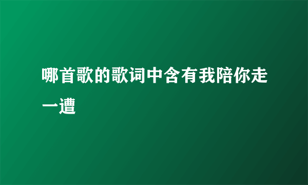 哪首歌的歌词中含有我陪你走一遭