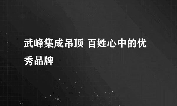 武峰集成吊顶 百姓心中的优秀品牌