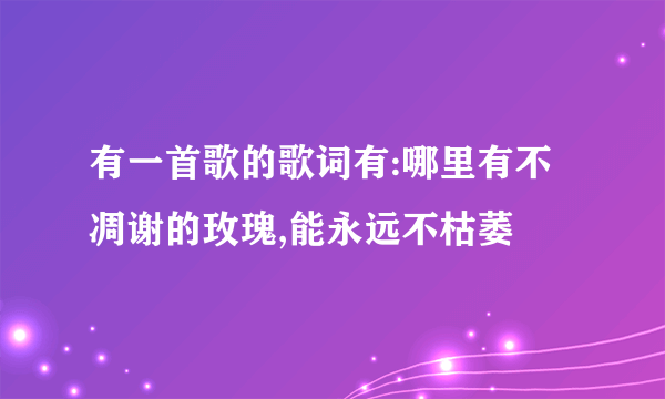 有一首歌的歌词有:哪里有不凋谢的玫瑰,能永远不枯萎