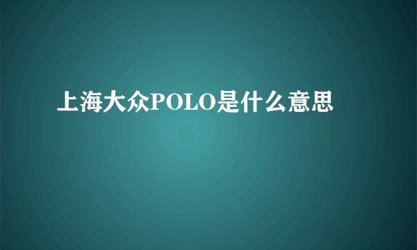 上海大众POLO是什么意思