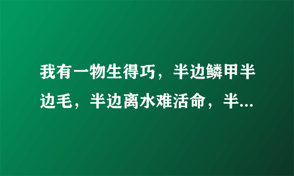 我有一物生得巧，半边鳞甲半边毛，半边离水难活命，半边入水命难保。 （打一字）