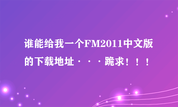 谁能给我一个FM2011中文版的下载地址···跪求！！！