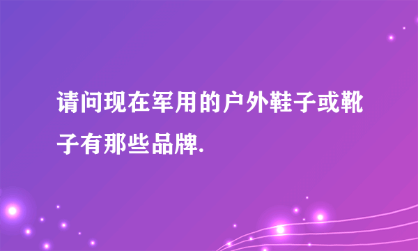 请问现在军用的户外鞋子或靴子有那些品牌.