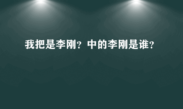 我把是李刚？中的李刚是谁？