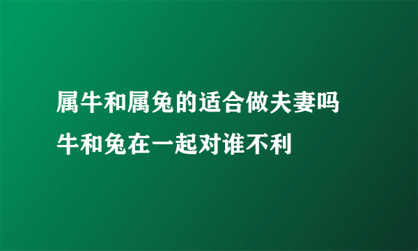 属牛和属兔的适合做夫妻吗 牛和兔在一起对谁不利