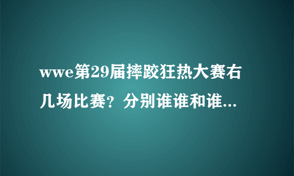 wwe第29届摔跤狂热大赛右几场比赛？分别谁谁和谁打？紧急！