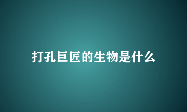 打孔巨匠的生物是什么