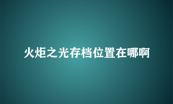 火炬之光存档位置在哪啊