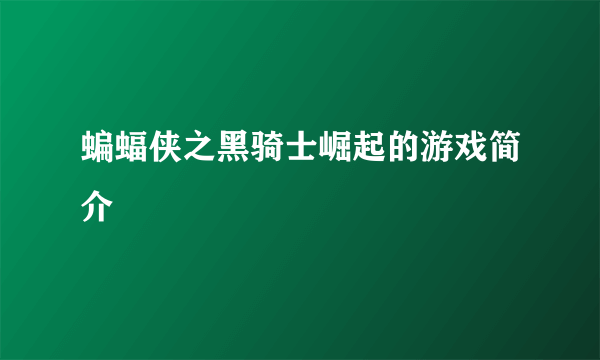 蝙蝠侠之黑骑士崛起的游戏简介