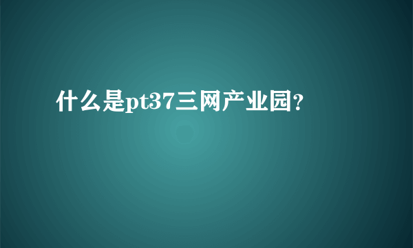 什么是pt37三网产业园？