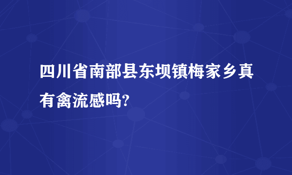 四川省南部县东坝镇梅家乡真有禽流感吗?