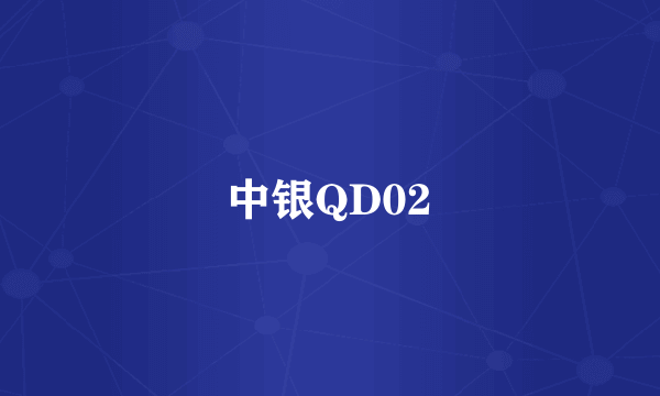 中银QD02