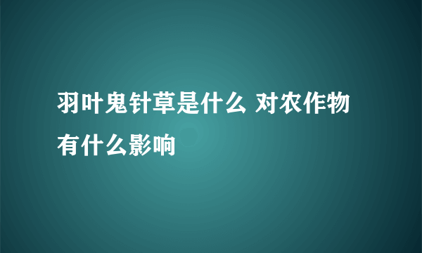 羽叶鬼针草是什么 对农作物有什么影响