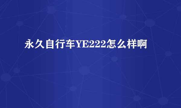 永久自行车YE222怎么样啊