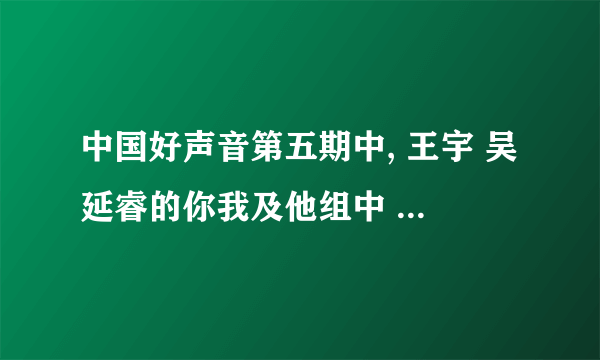 中国好声音第五期中, 王宇 吴延睿的你我及他组中 , 吴延睿的乐器是什么