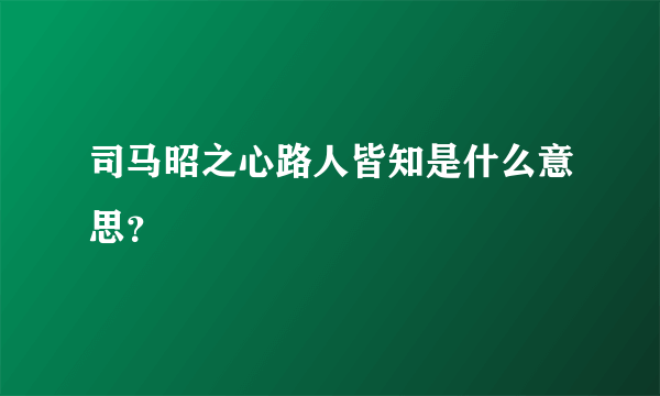 司马昭之心路人皆知是什么意思？