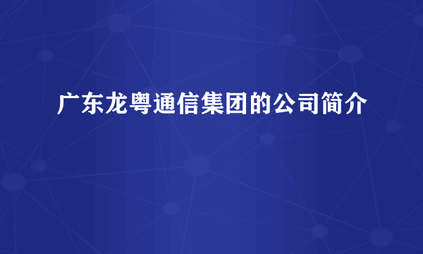 广东龙粤通信集团的公司简介