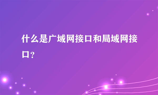 什么是广域网接口和局域网接口？