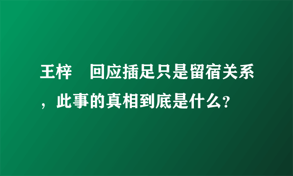 王梓芠回应插足只是留宿关系，此事的真相到底是什么？