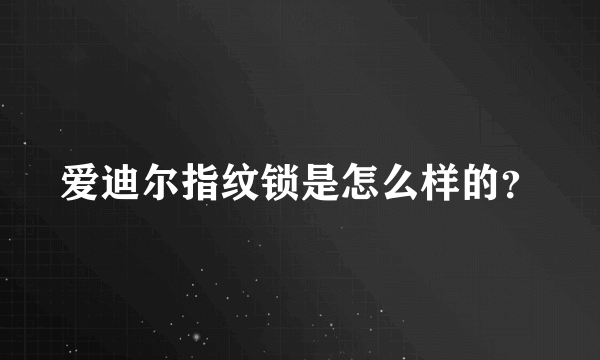 爱迪尔指纹锁是怎么样的？