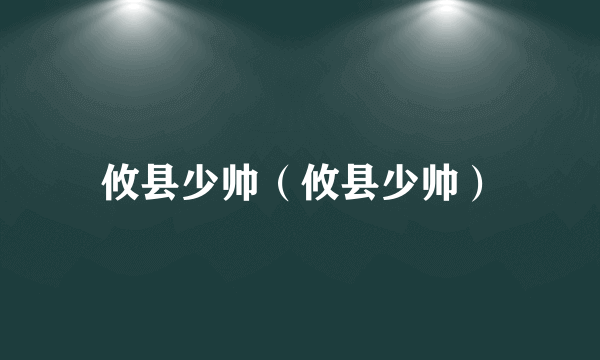 攸县少帅（攸县少帅）