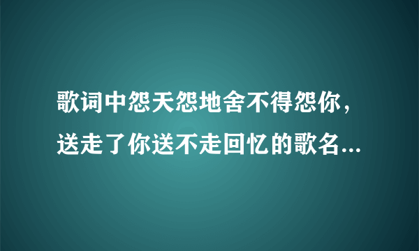 歌词中怨天怨地舍不得怨你，送走了你送不走回忆的歌名叫什么？