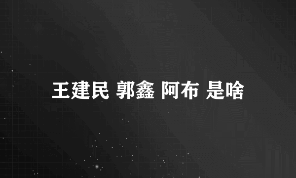 王建民 郭鑫 阿布 是啥