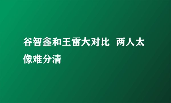 谷智鑫和王雷大对比  两人太像难分清