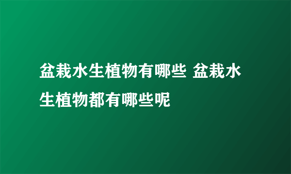 盆栽水生植物有哪些 盆栽水生植物都有哪些呢