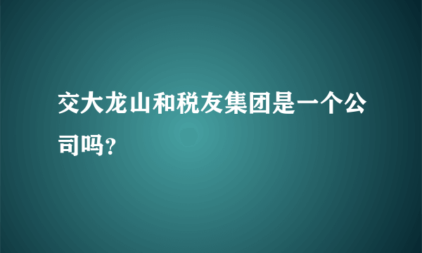 交大龙山和税友集团是一个公司吗？