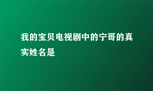 我的宝贝电视剧中的宁哥的真实姓名是