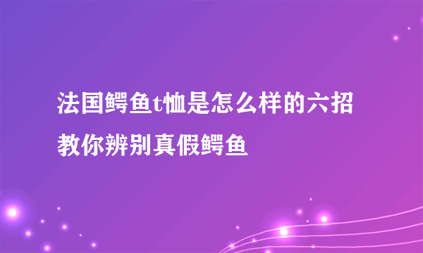 法国鳄鱼t恤是怎么样的六招教你辨别真假鳄鱼