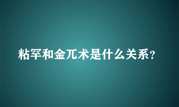 粘罕和金兀术是什么关系？