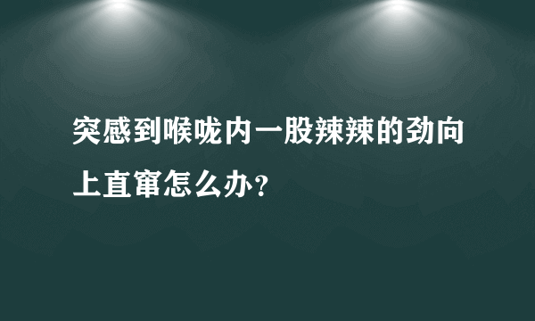 突感到喉咙内一股辣辣的劲向上直窜怎么办？