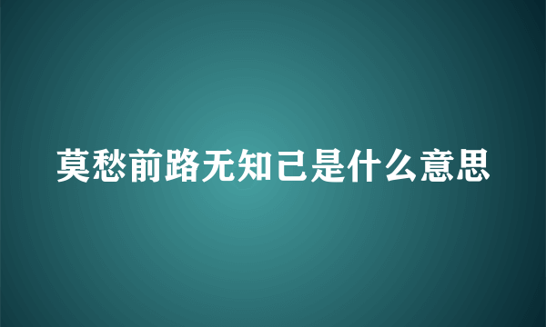 莫愁前路无知己是什么意思