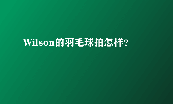 Wilson的羽毛球拍怎样？