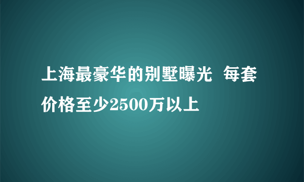 上海最豪华的别墅曝光  每套价格至少2500万以上